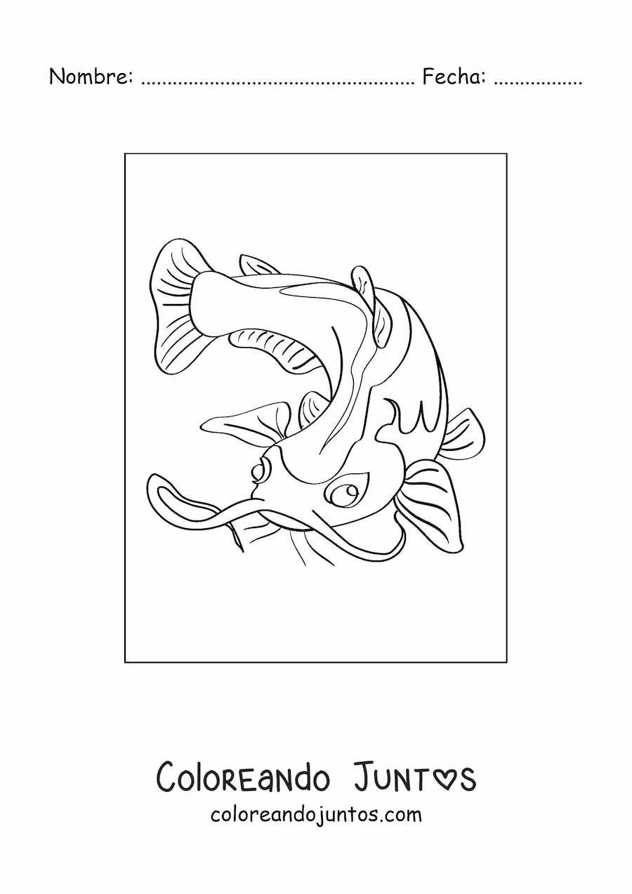 Imagen para colorear de un bagre nadando