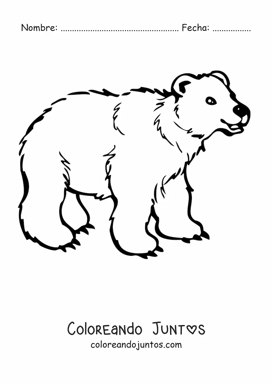 Imagen para colorear de un oso animado sonriente en cuatro patas
