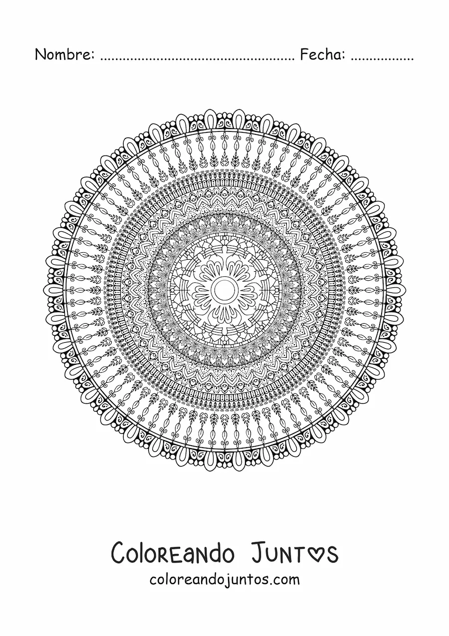 Imagen para colorear de un mandala difícil circular