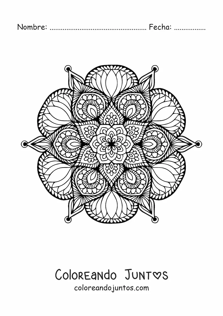 Imagen para colorear de un mandala floral