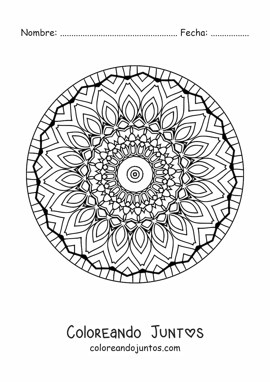 Imagen para colorear de mandala para adultos mayores