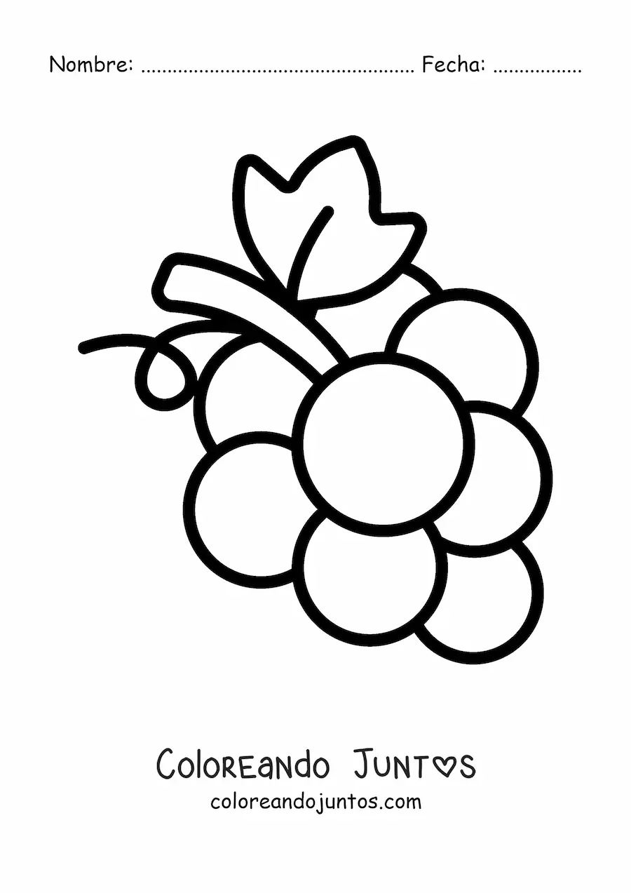 Imagen para colorear de un racimo de uvas pequeño