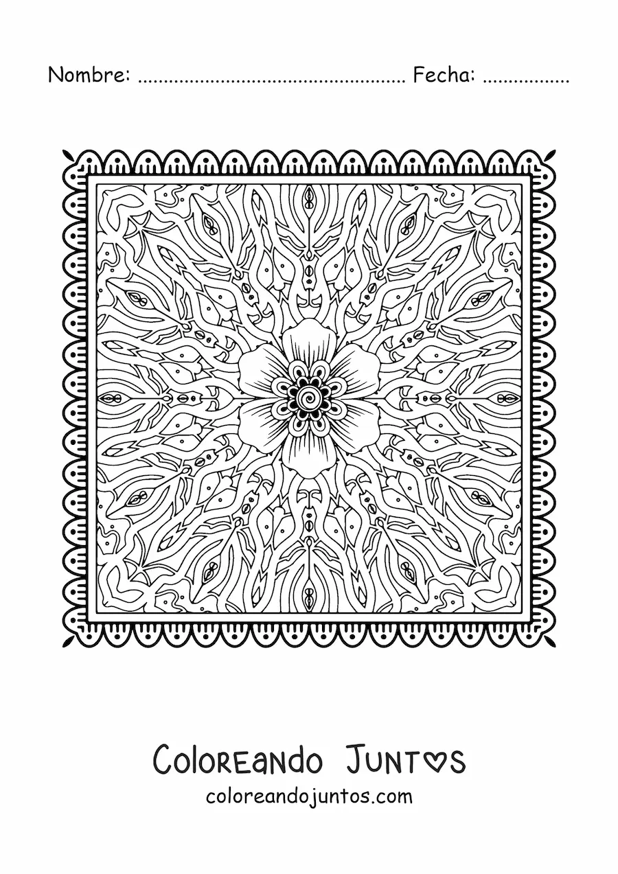 Imagen para colorear de mandala cuadrada floral