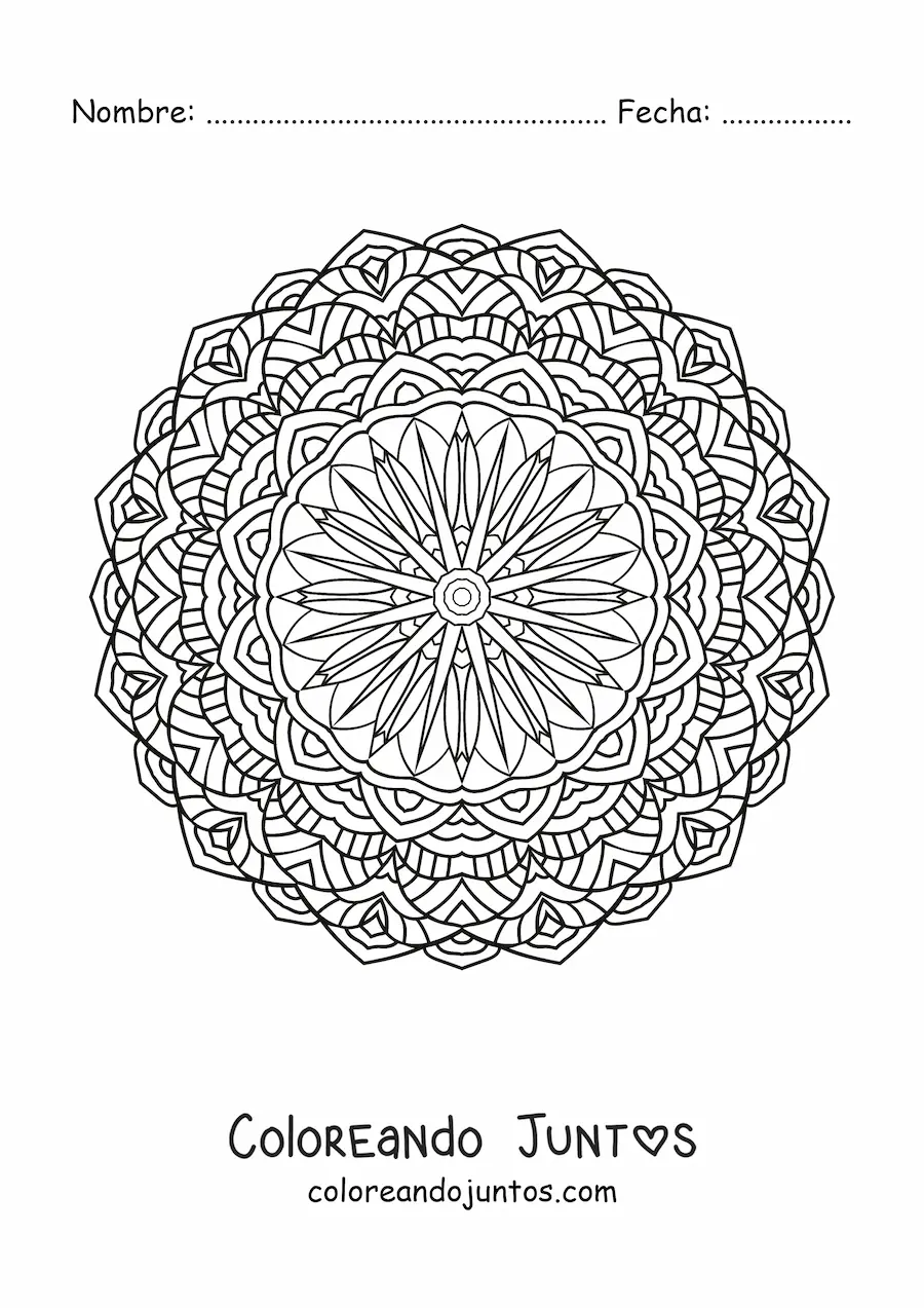 Imagen para colorear de mandala circular con flores