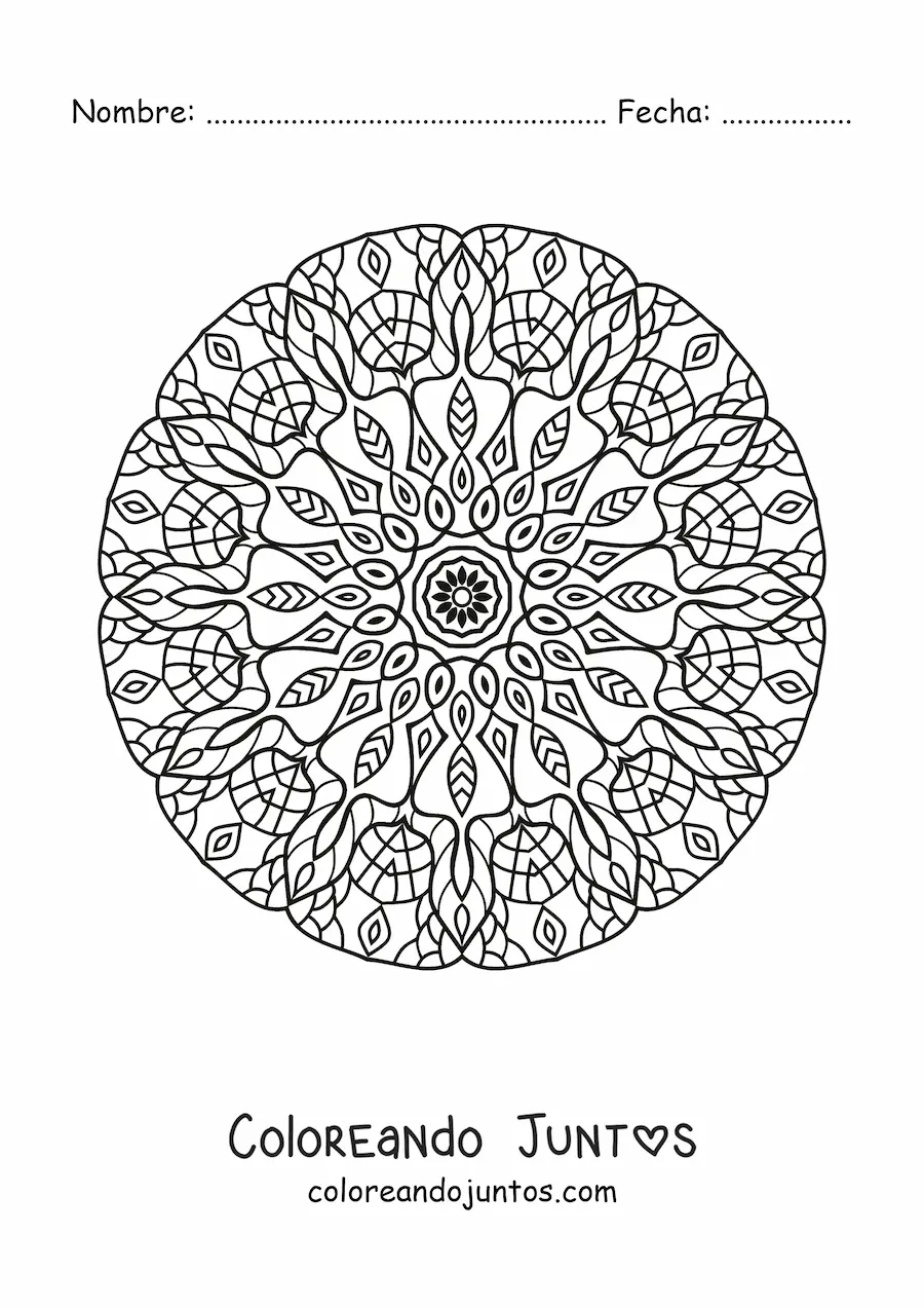 Imagen para colorear de mandala circular para adultos
