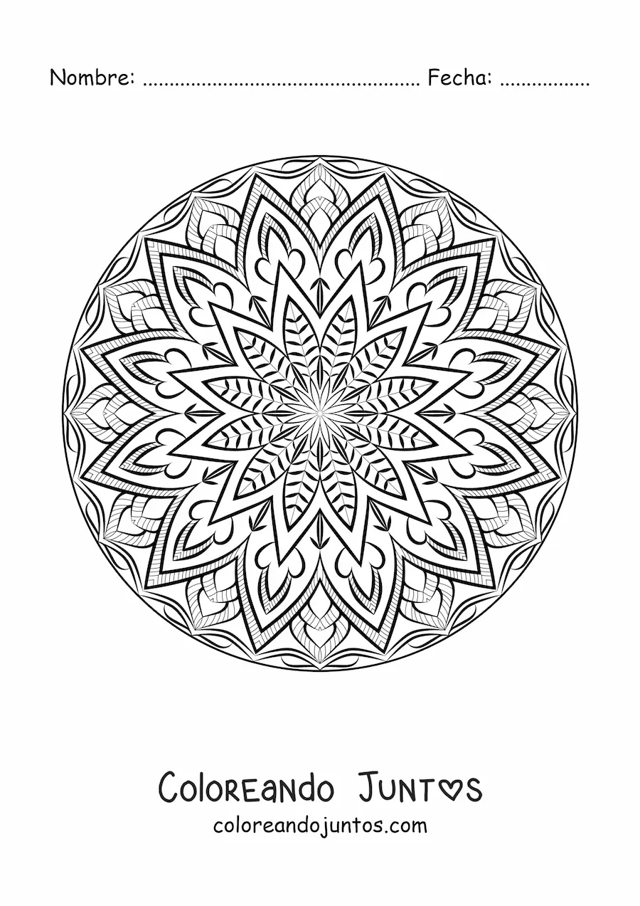 Imagen para colorear de mandala circular abstracta