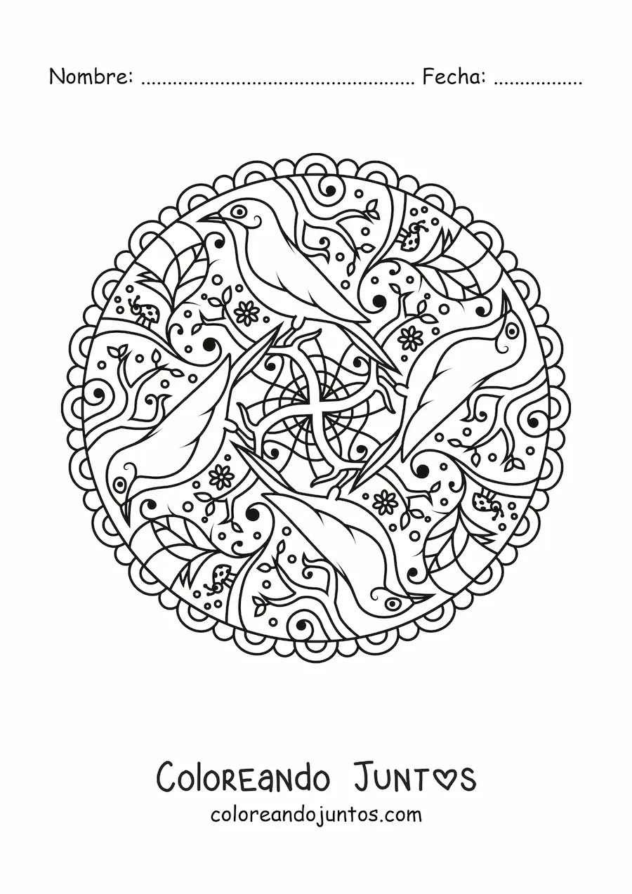 Imagen para colorear de mandala de aves
