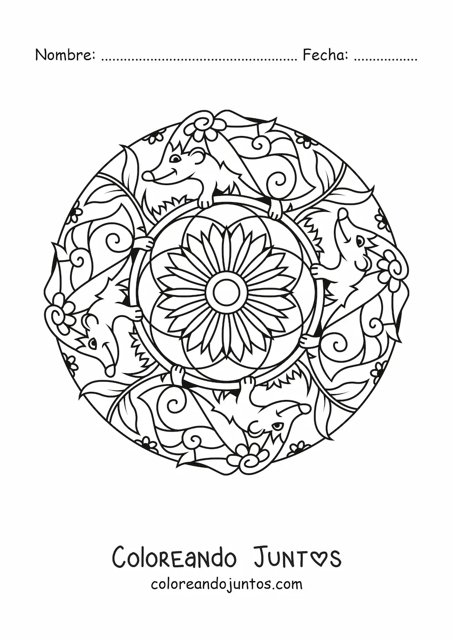 Imagen para colorear de mandala de puercoespines