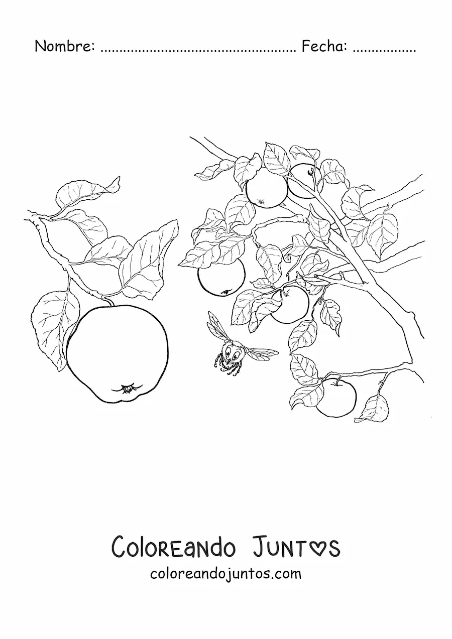 Imagen para colorear de un árbol manzano con manzanas y abejas volando