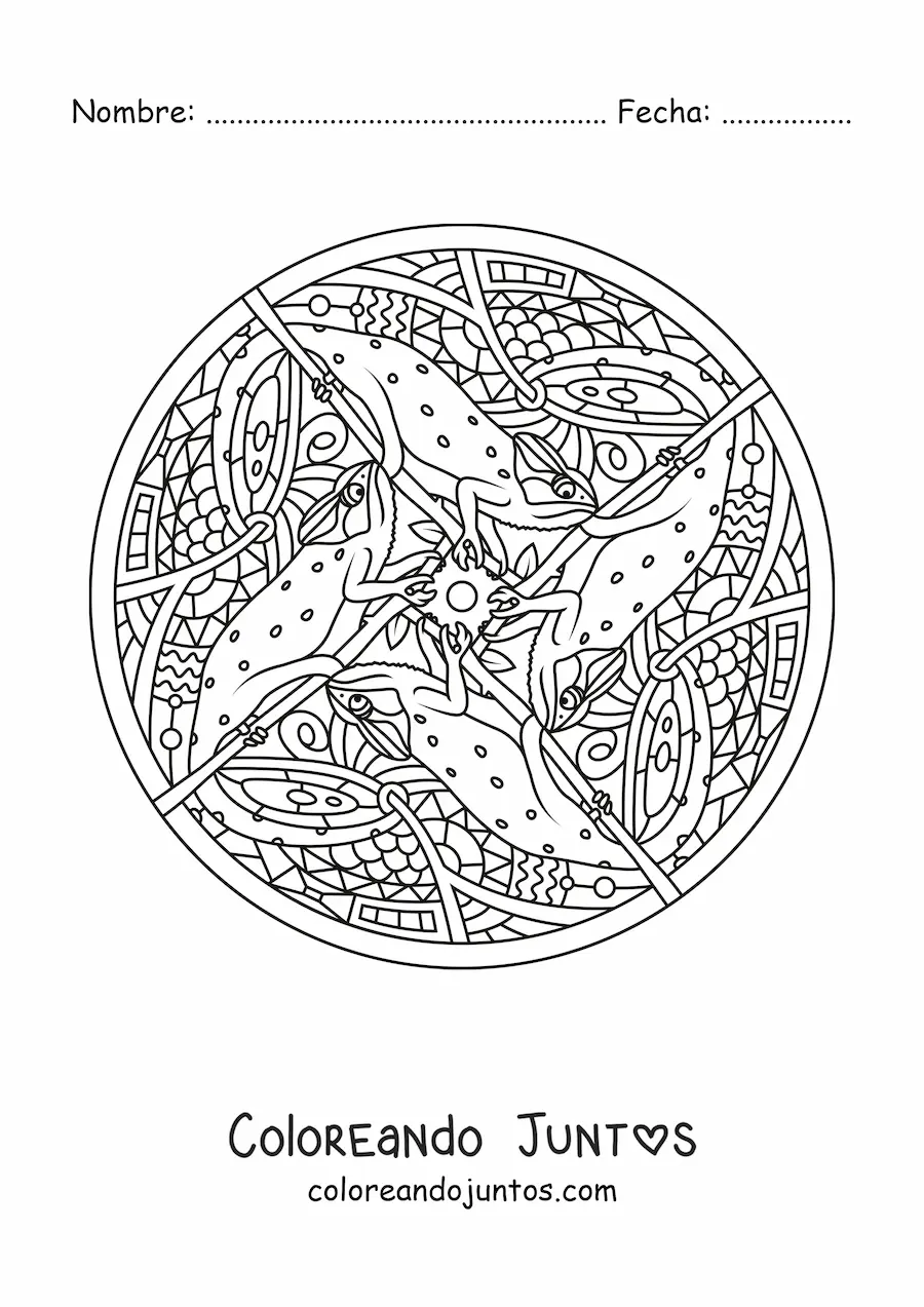 Imagen para colorear de mandala de iguanas