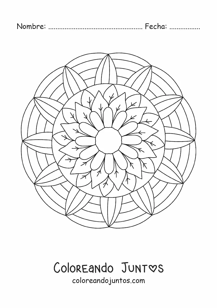 Imagen para colorear de mandala de flores y hojas
