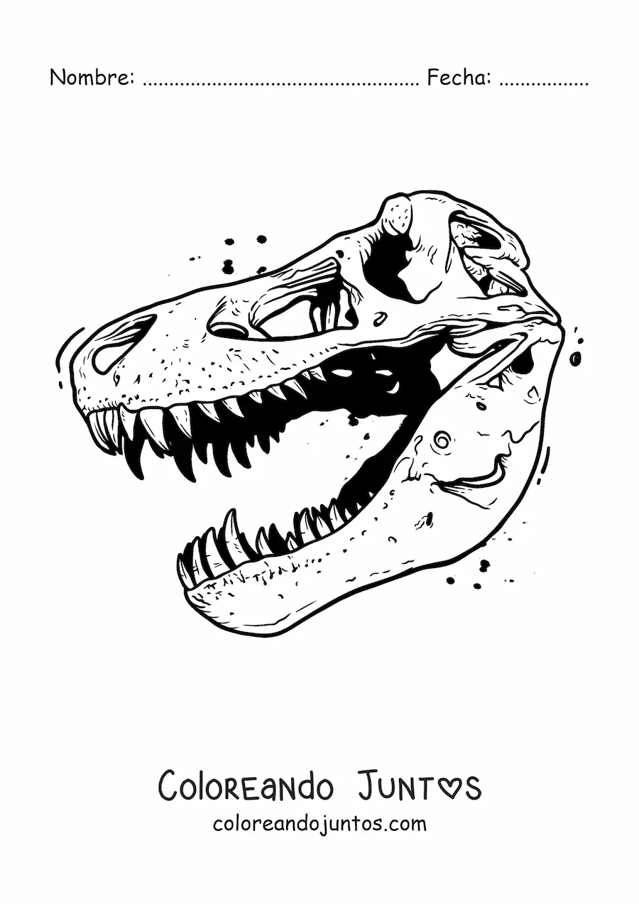 Imagen para colorear de cráneo de un tiranosaurio rex