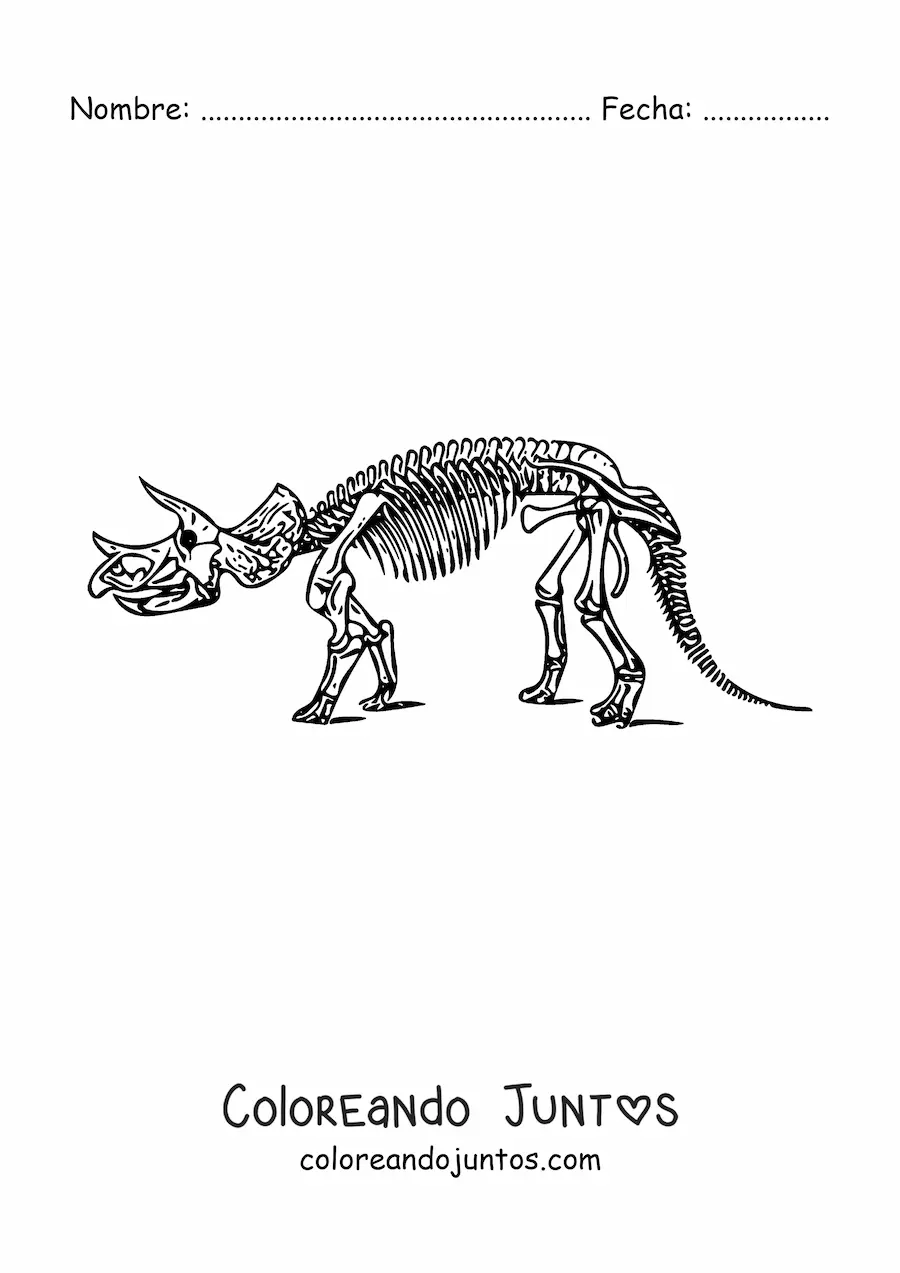 Imagen para colorear de esqueleto de un triceratops
