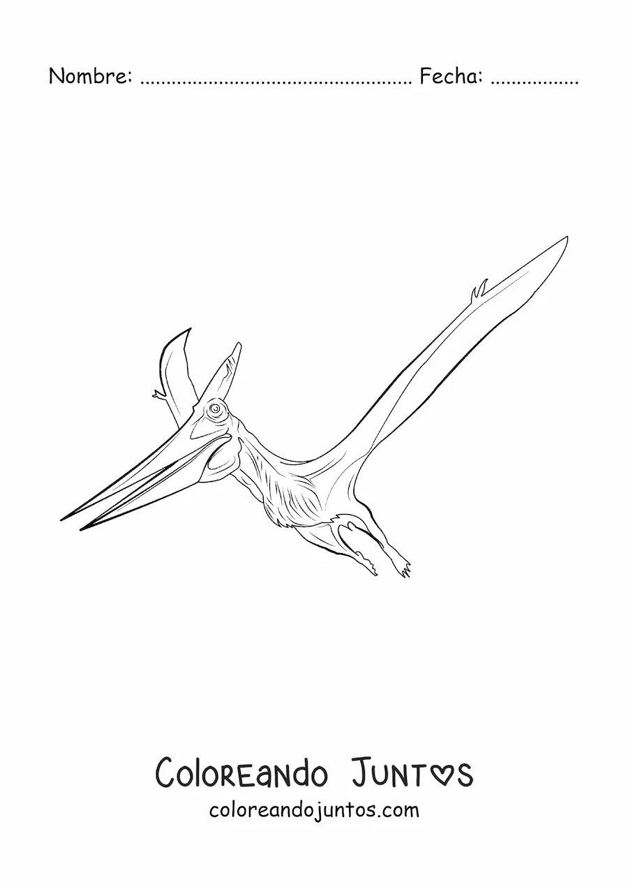 Imagen para colorear de pterodáctilo realista
