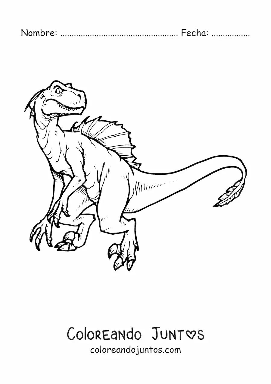 Imagen para colorear de velociraptor grande