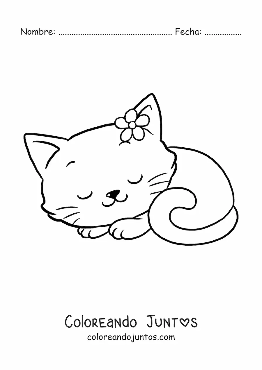Imagen para colorear de gatita kawaii grande con flor