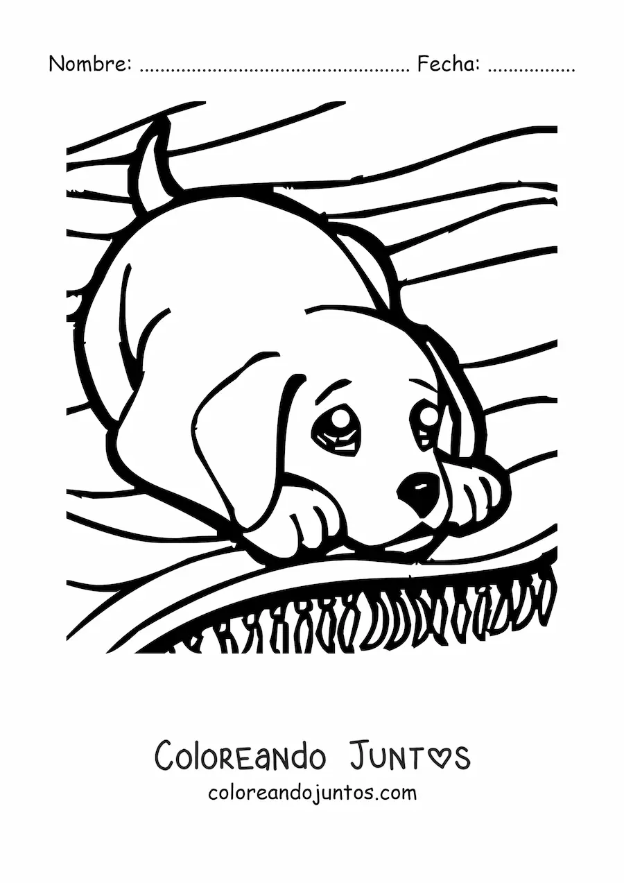 Imagen para colorear de cachorro jugando