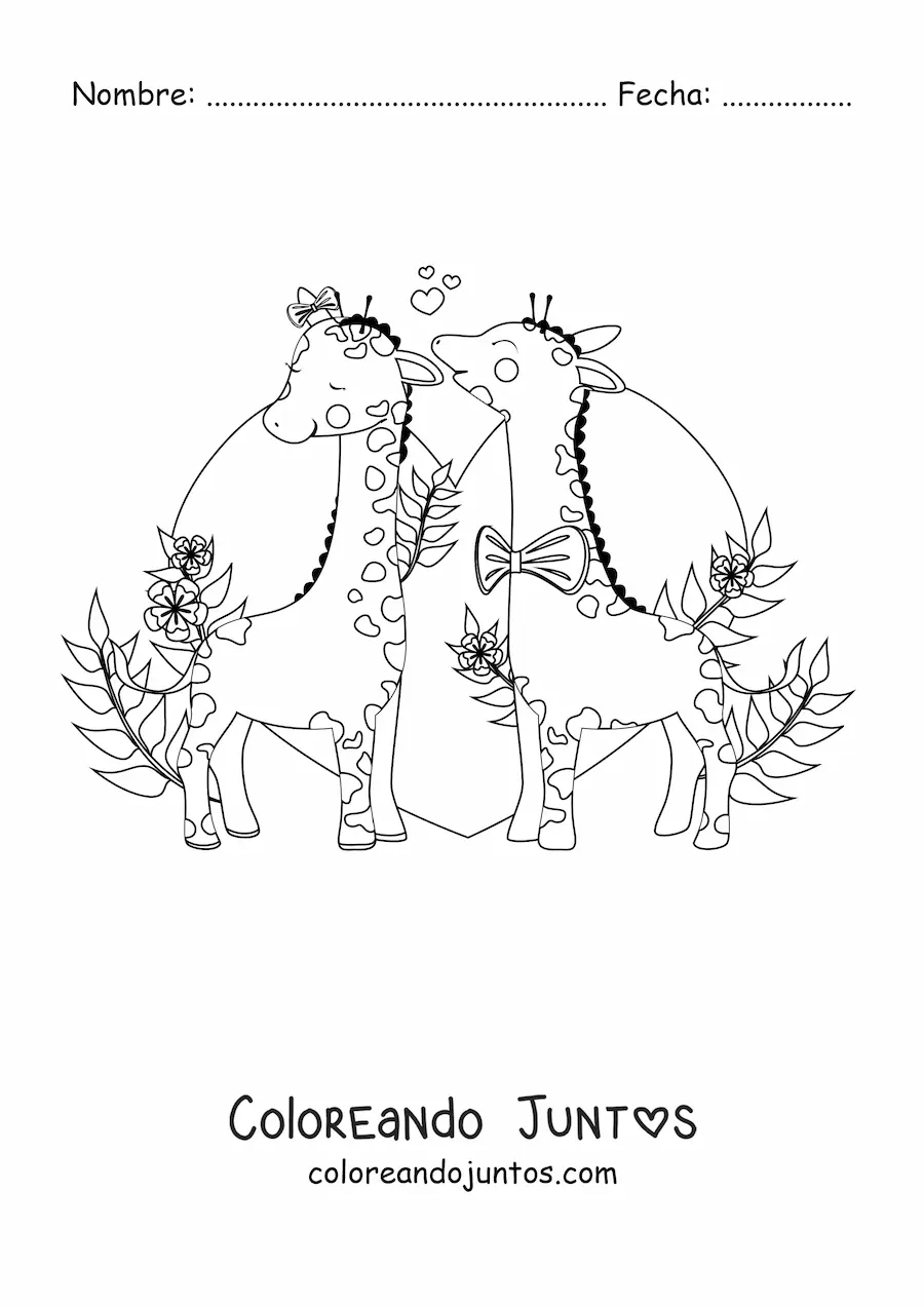 Imagen para colorear de pareja de jirafas