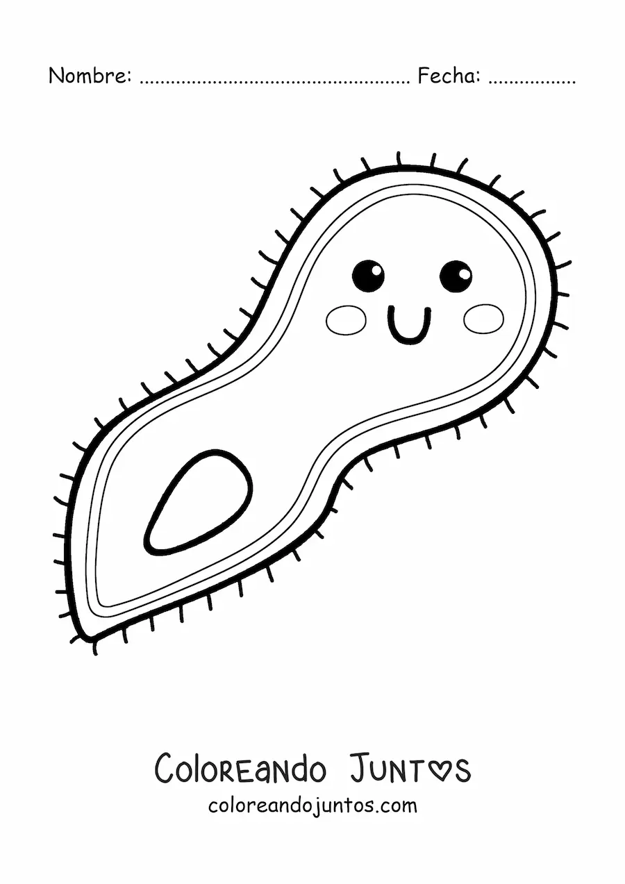 Imagen para colorear de protozoo kawaii
