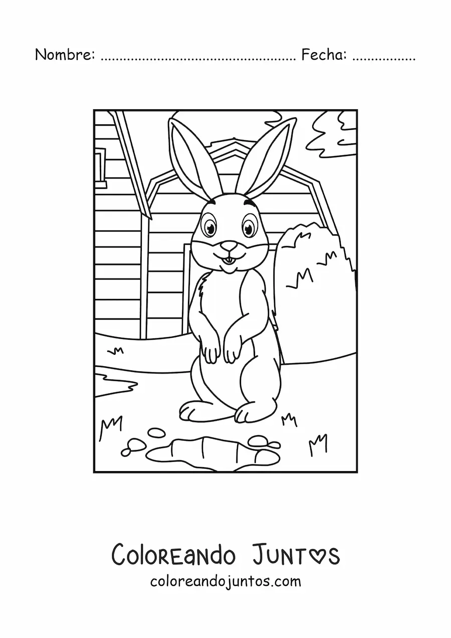 Imagen para colorear de conejo animado en la granja