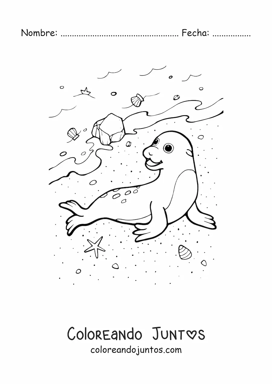 Imagen para colorear de foca en orilla de playa