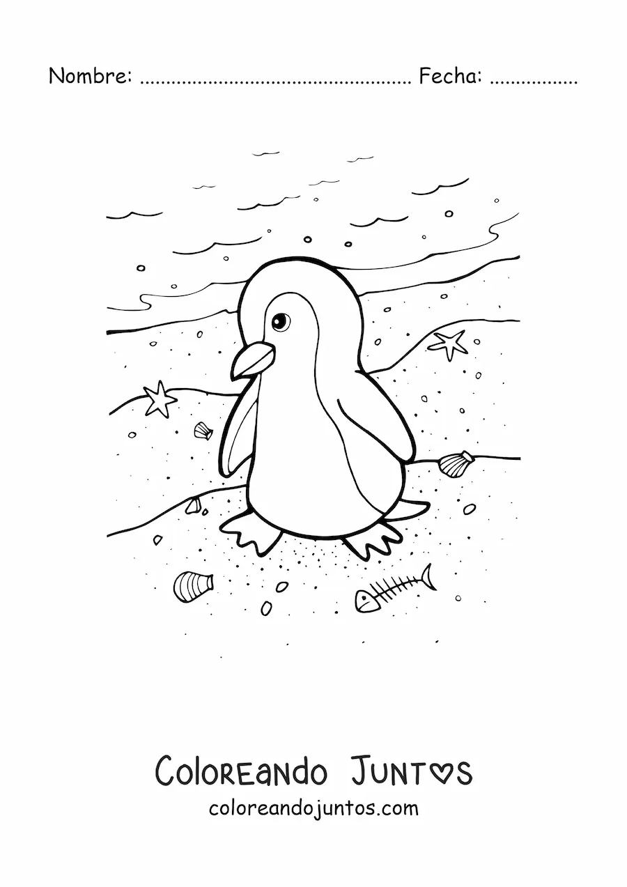 Imagen para colorear de pingüino en orilla de playa
