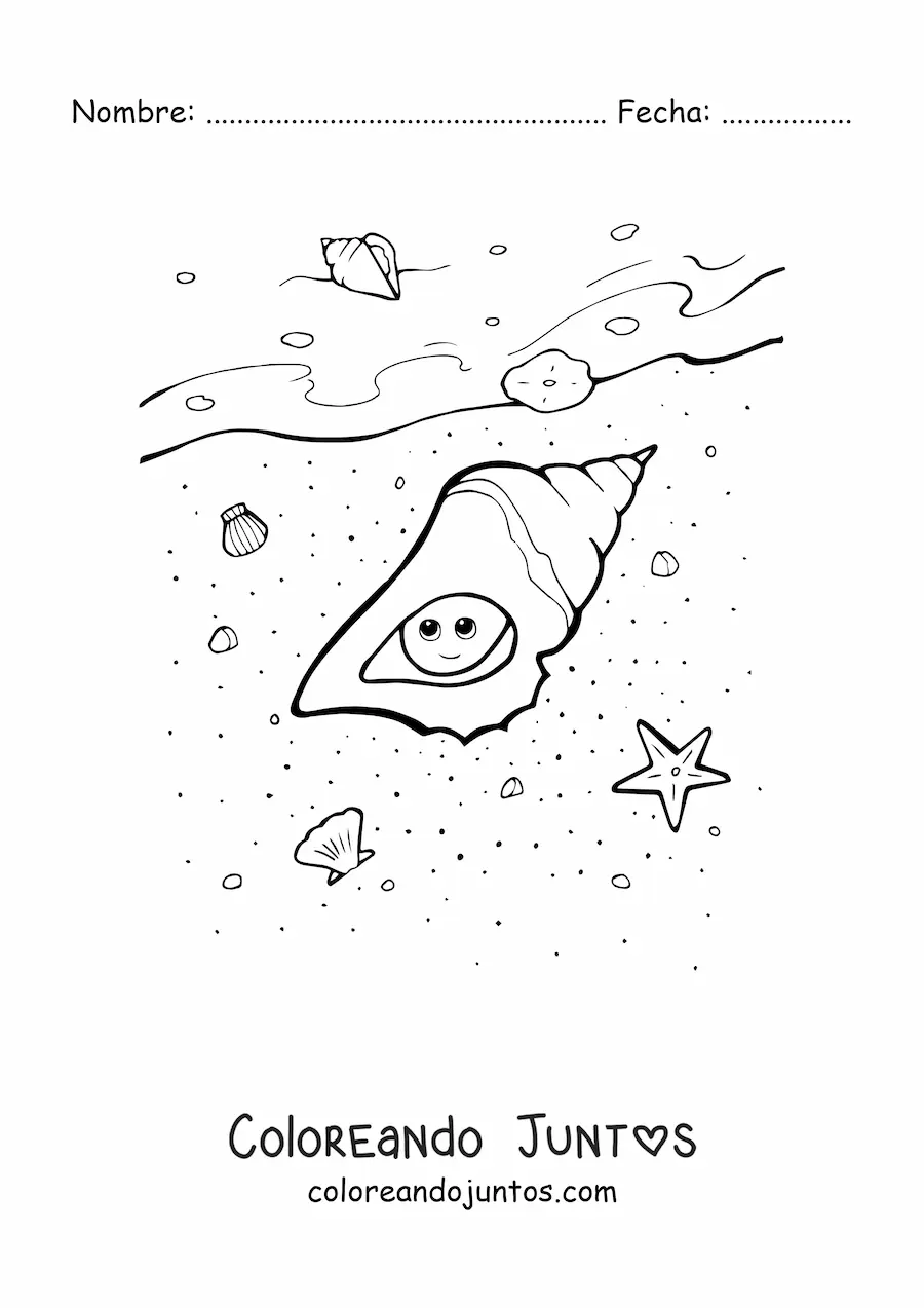 Imagen para colorear de caracola kawaii en la playa