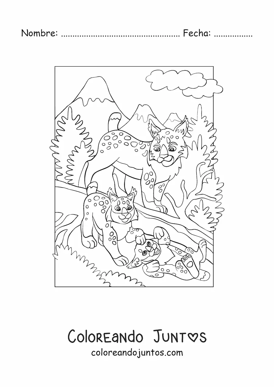 Imagen para colorear de linces en el bosque