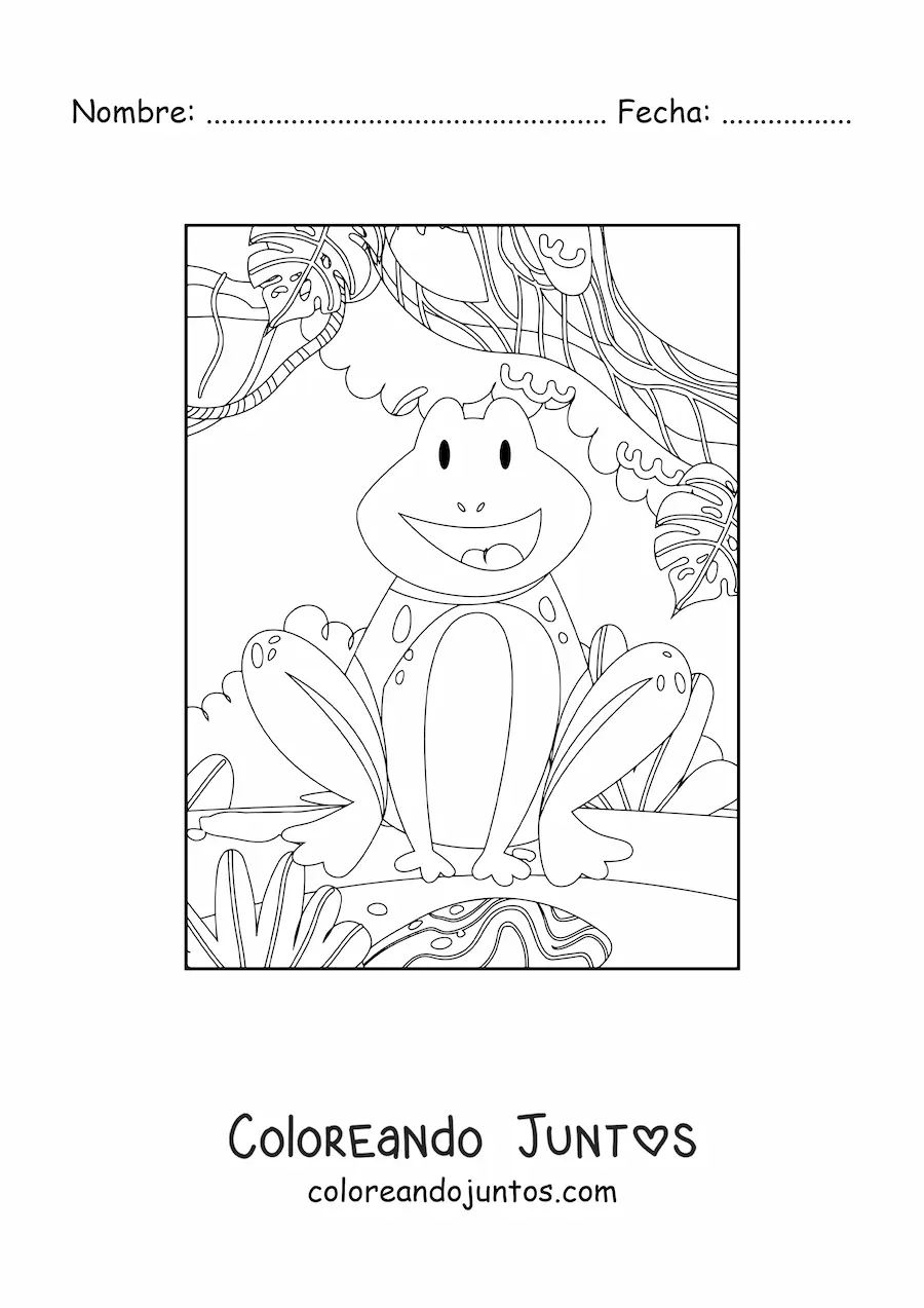 Imagen para colorear de rana de selva tropical