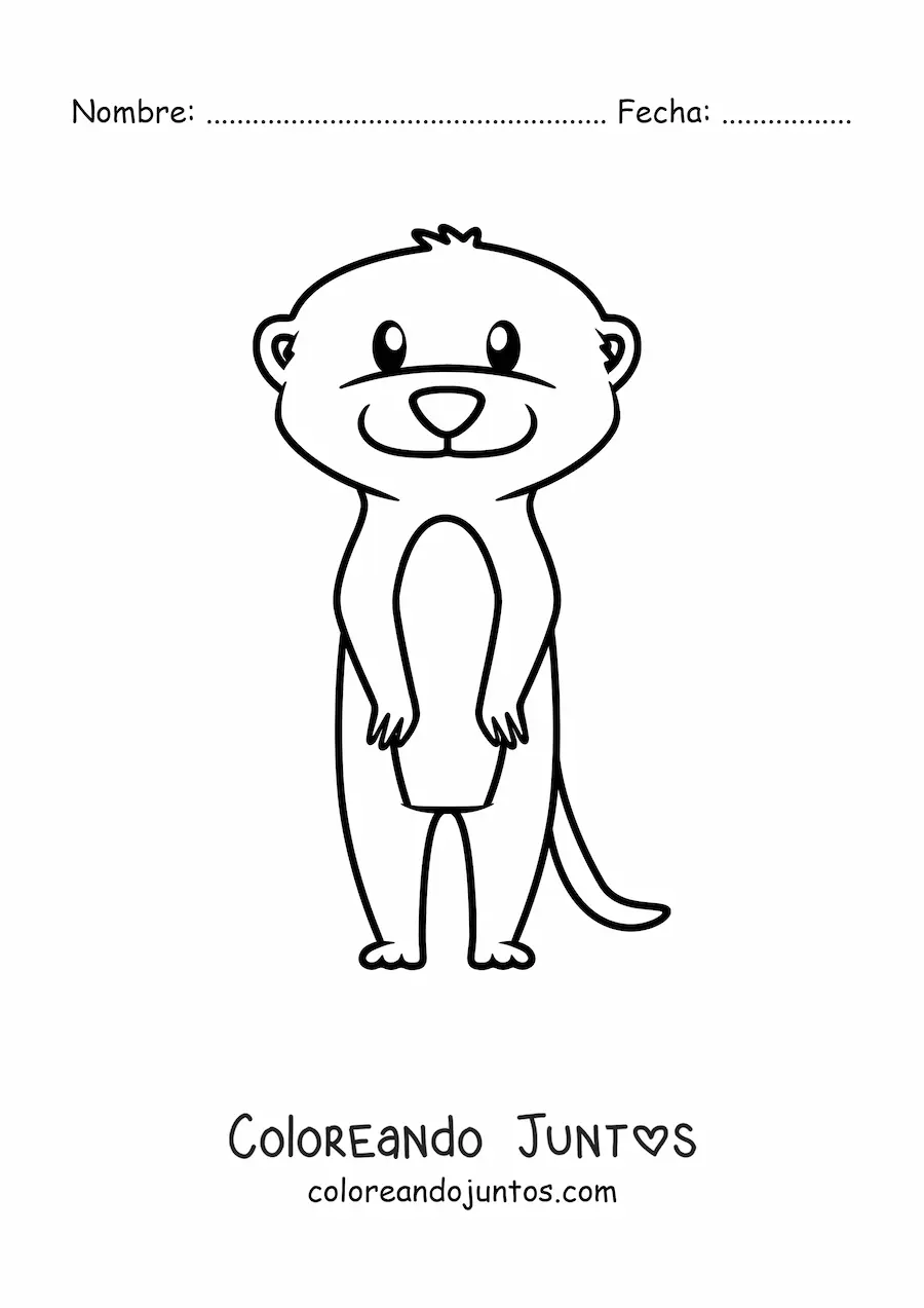 Imagen para colorear de suricata del desierto animada