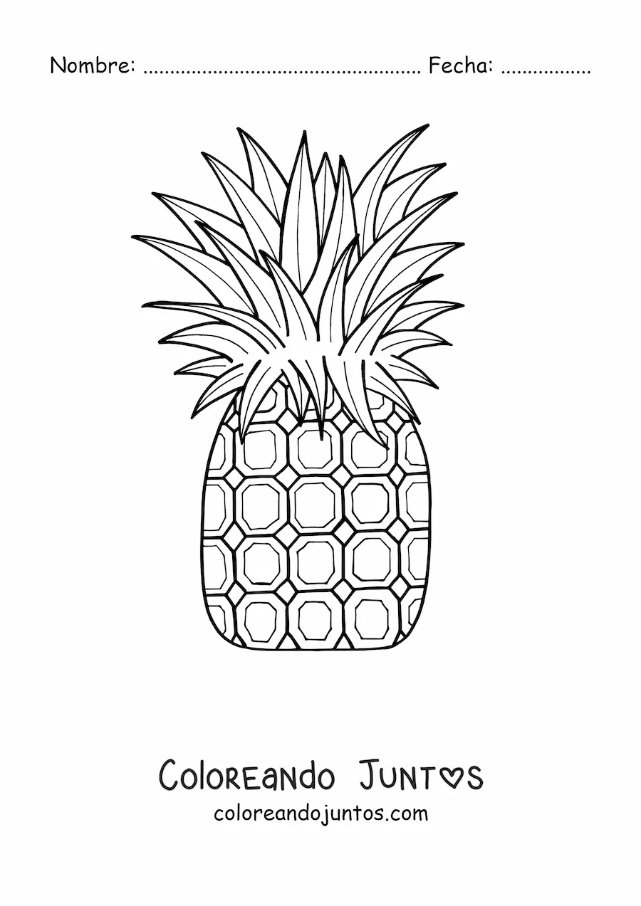 Imagen para colorear de una piña