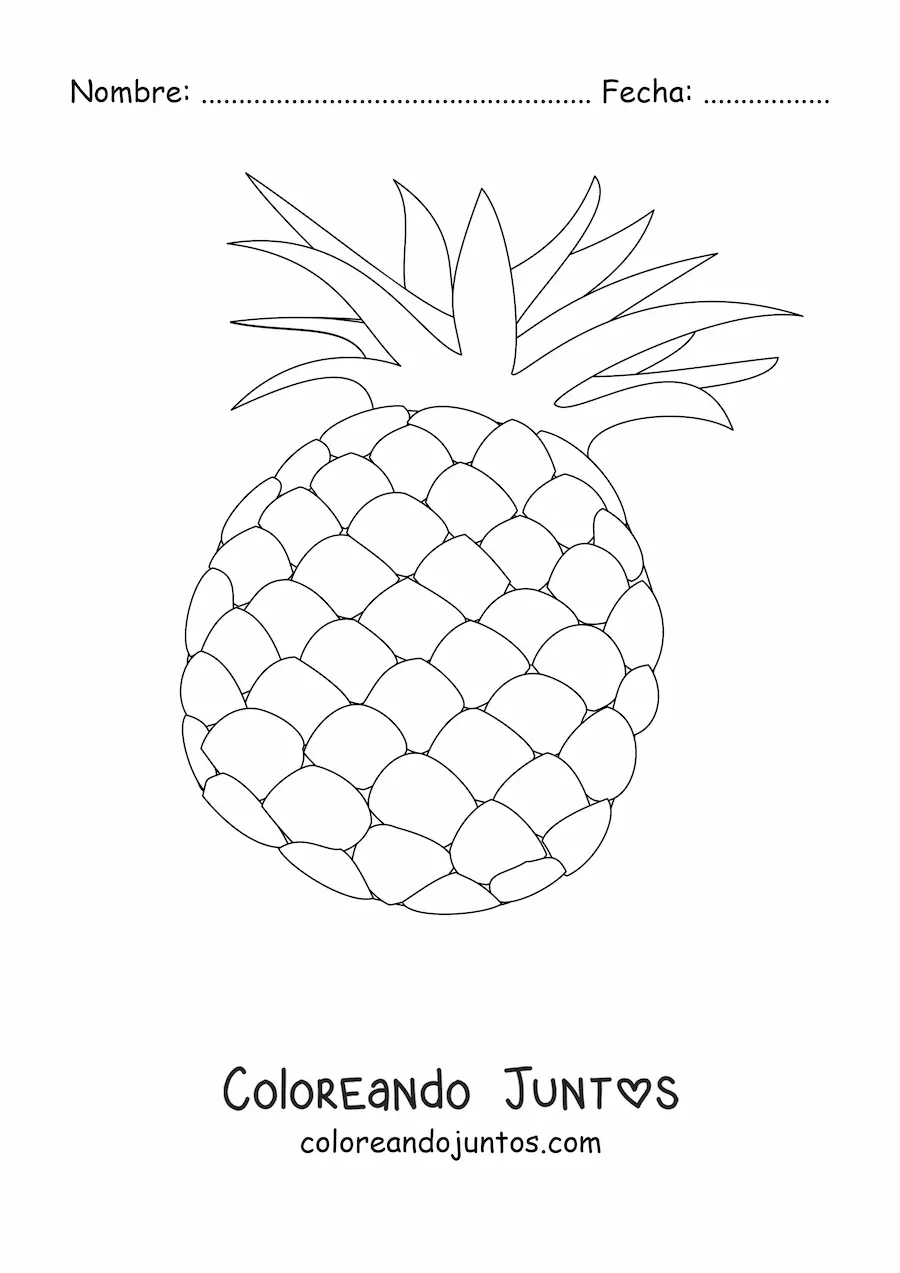 Imagen para colorear de una piña