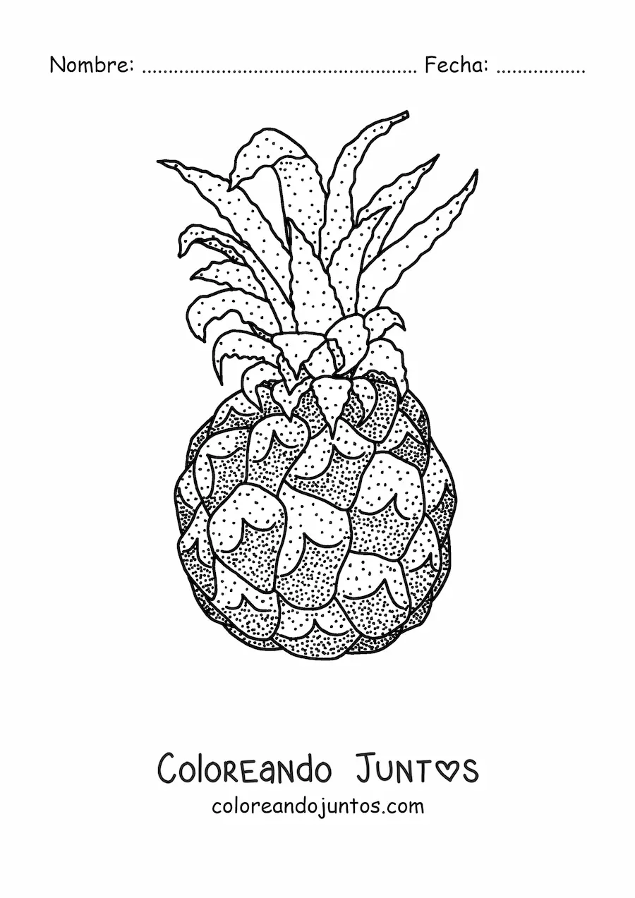 Imagen para colorear de una piña