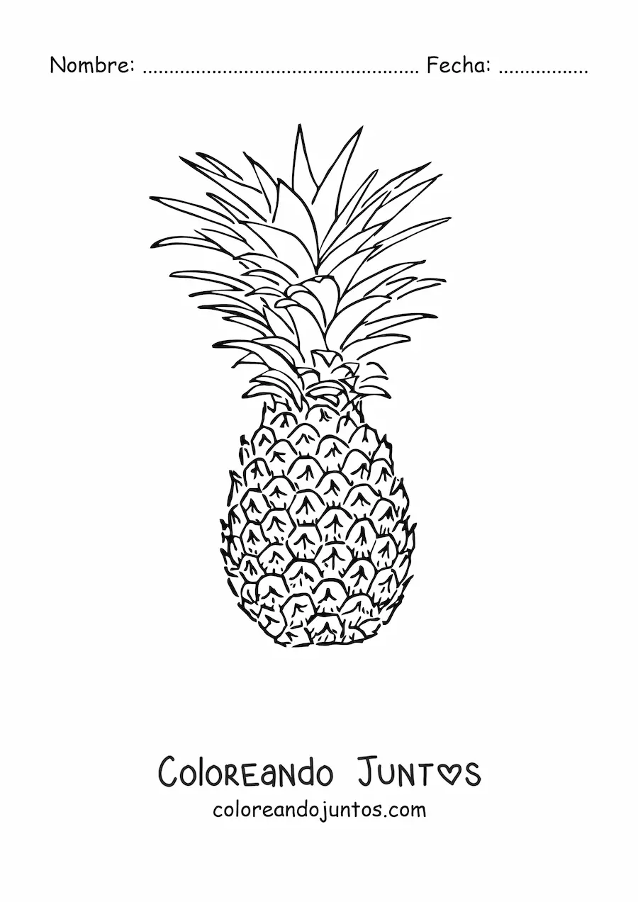 Imagen para colorear de una piña
