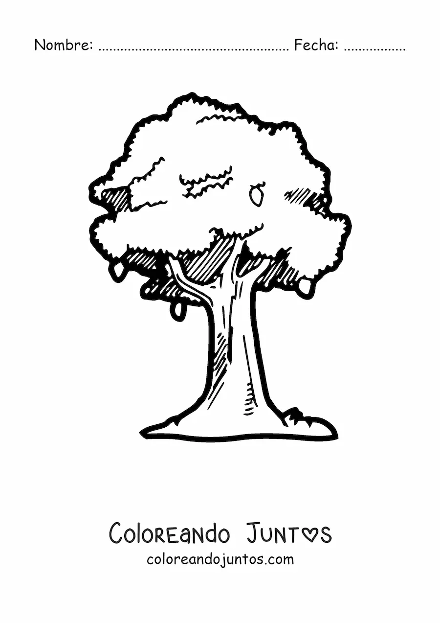 Imagen para colorear de un árbol de mango