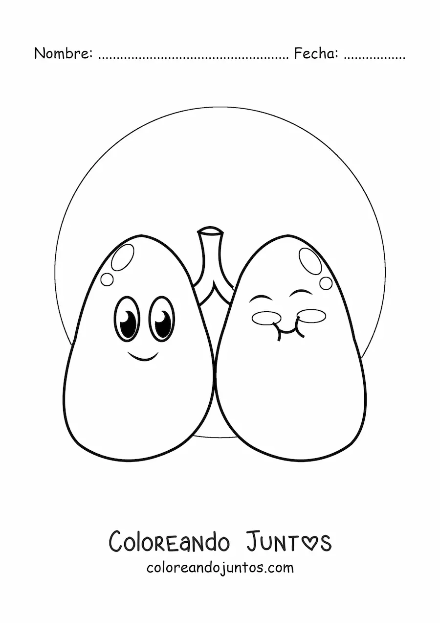 Imagen para colorear de riñones kawaii animados grandes