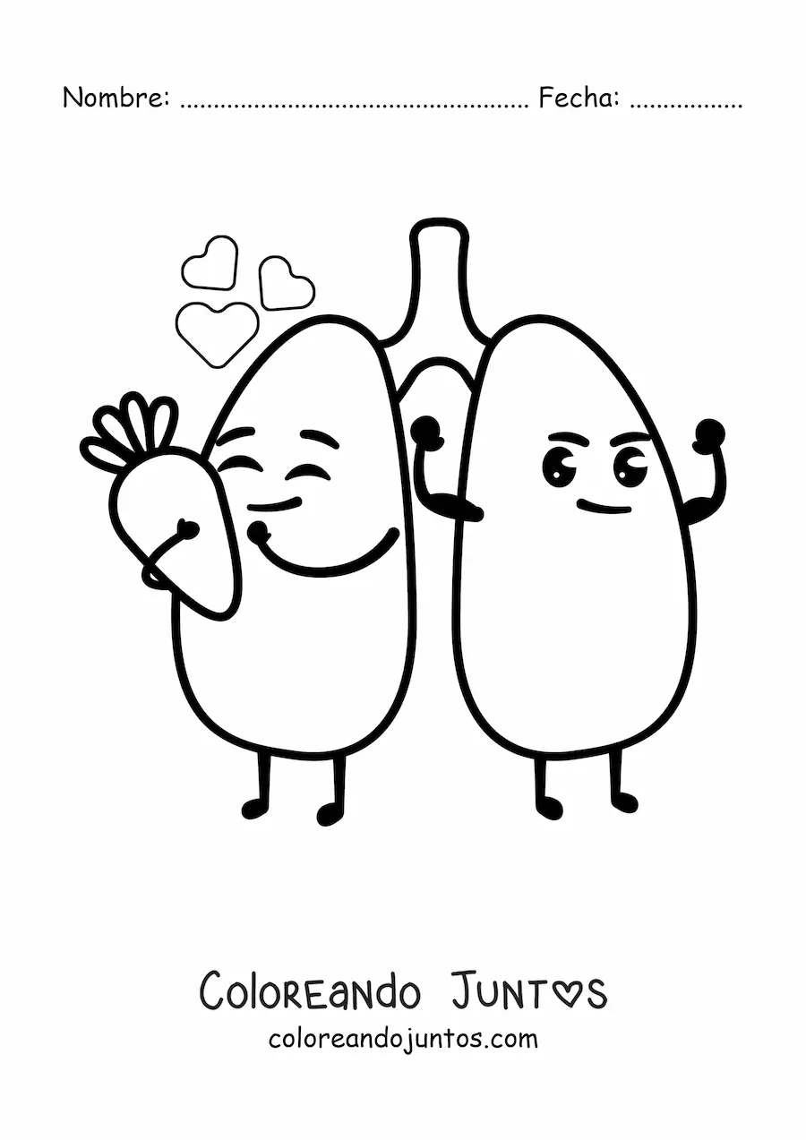 Imagen para colorear de pulmones sanos animados