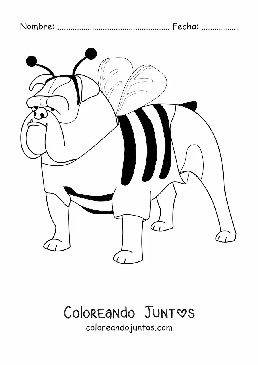 Imagen para colorear de un bulldog disfrazado de abeja