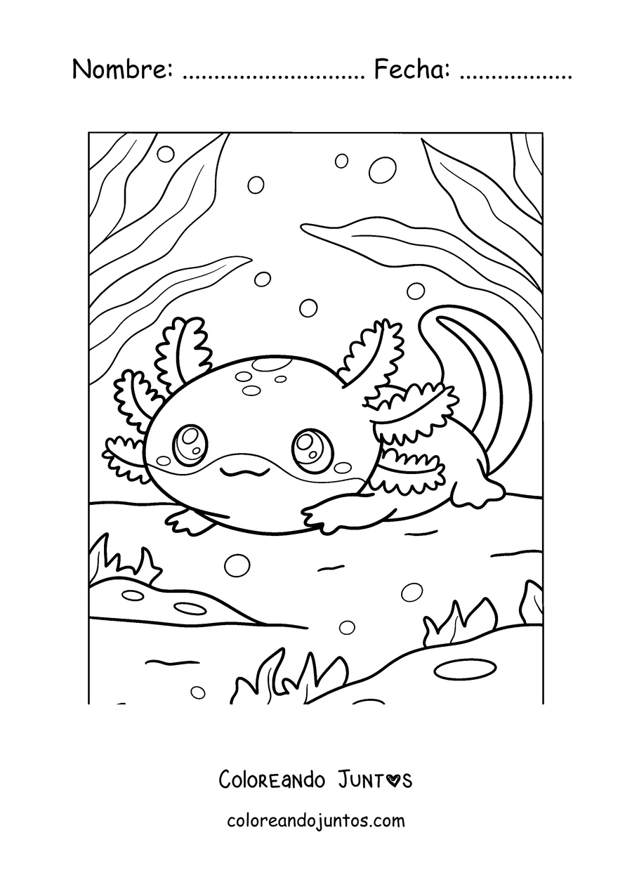 Imagen para colorear de un ajolote bebé descansando sobre el fondo