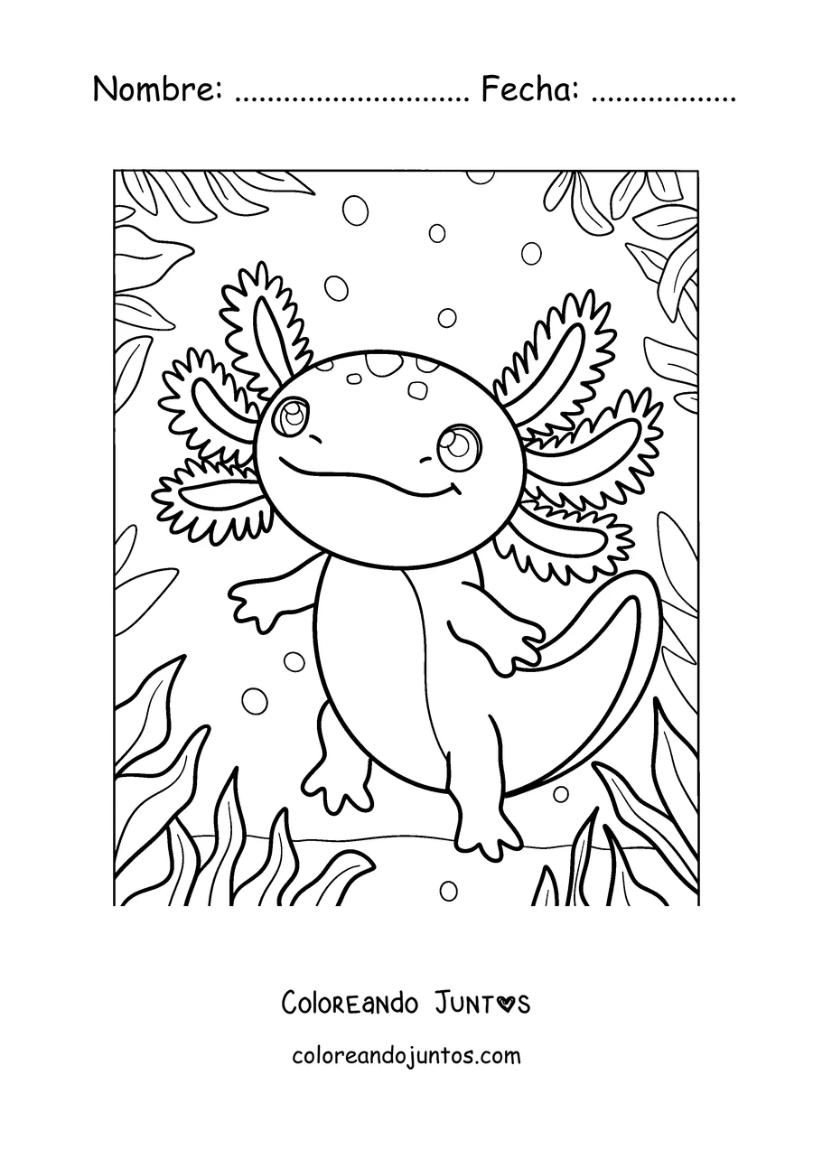 Imagen para colorear de un ajolote caminando entre plantas de agua