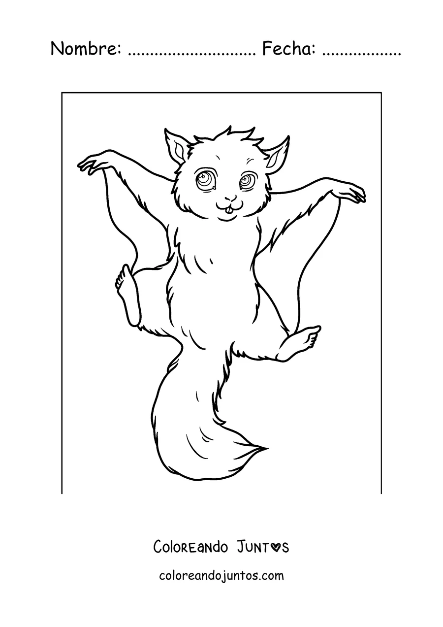 Imagen para colorear de una ardilla voladora planeando con las patas abiertas