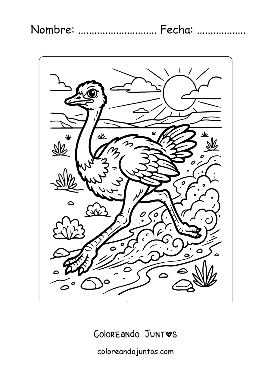 Imagen para colorear de una avestruz corriendo por el desierto