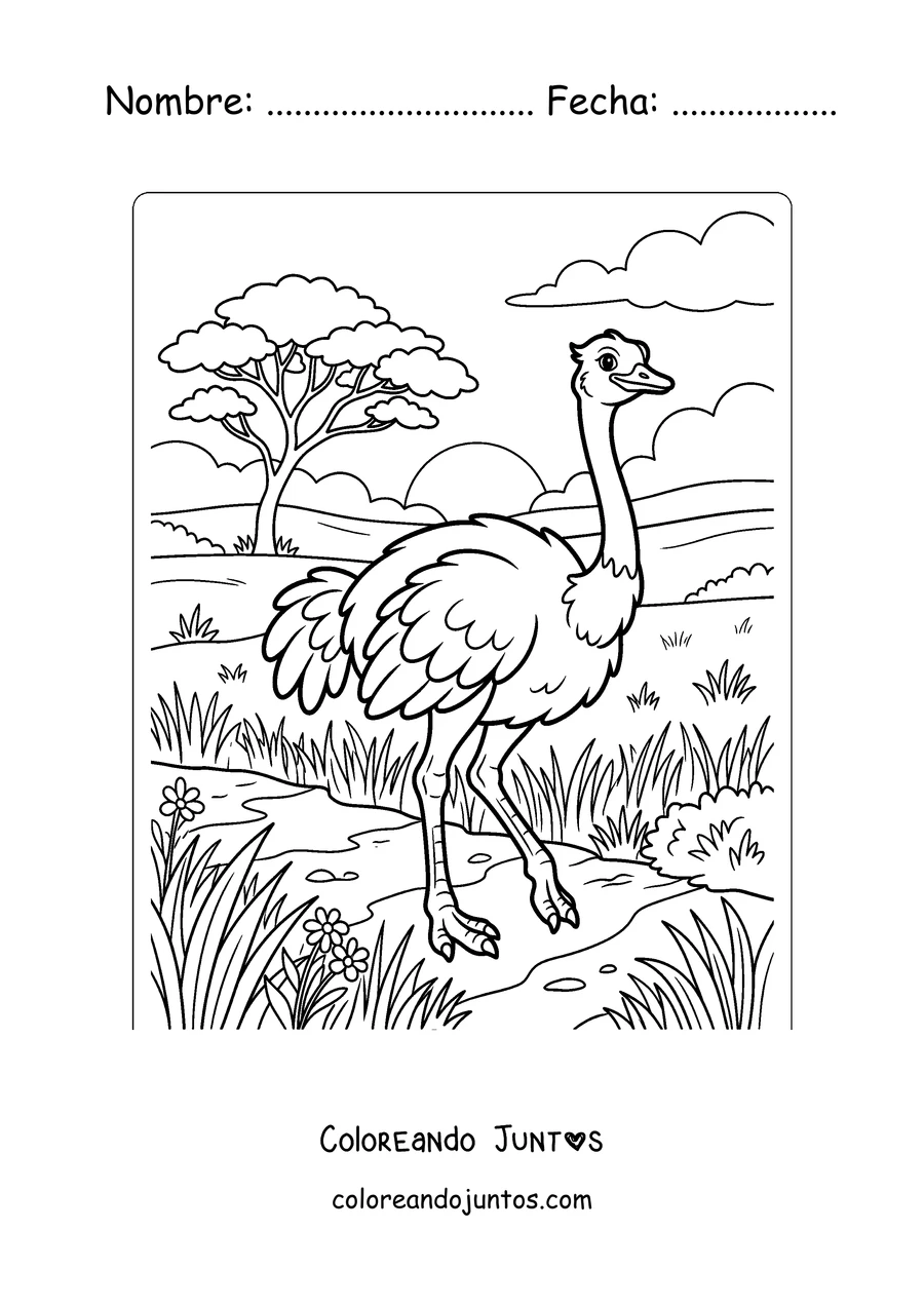Imagen para colorear de una avestruz en la sabana africana