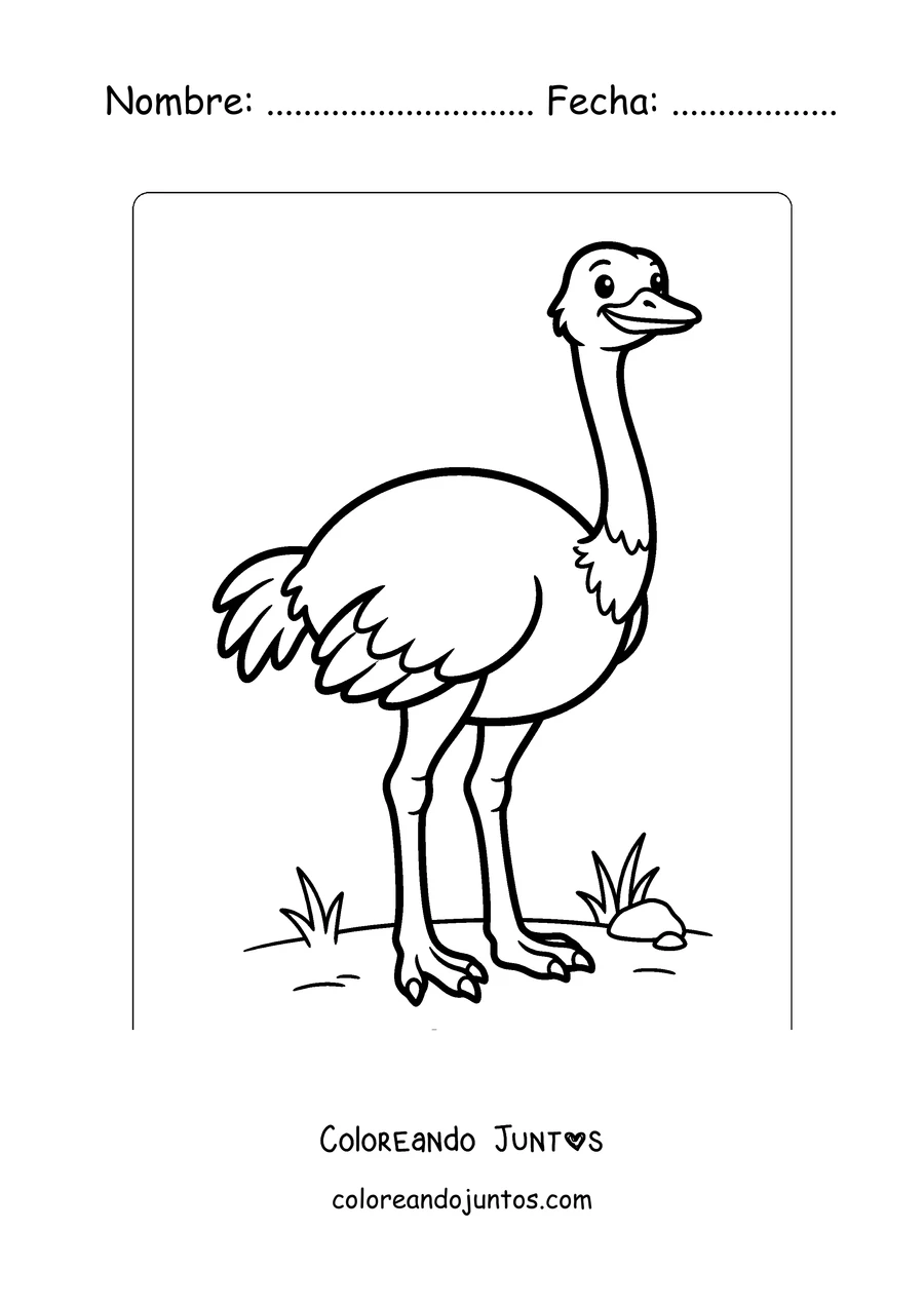 Imagen para colorear de una avestruz sencilla para los más chicos