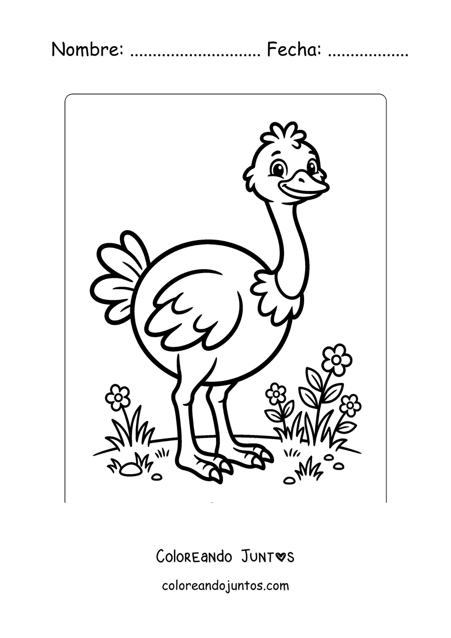 Imagen para colorear de una avestruz tierna de dibujo animado