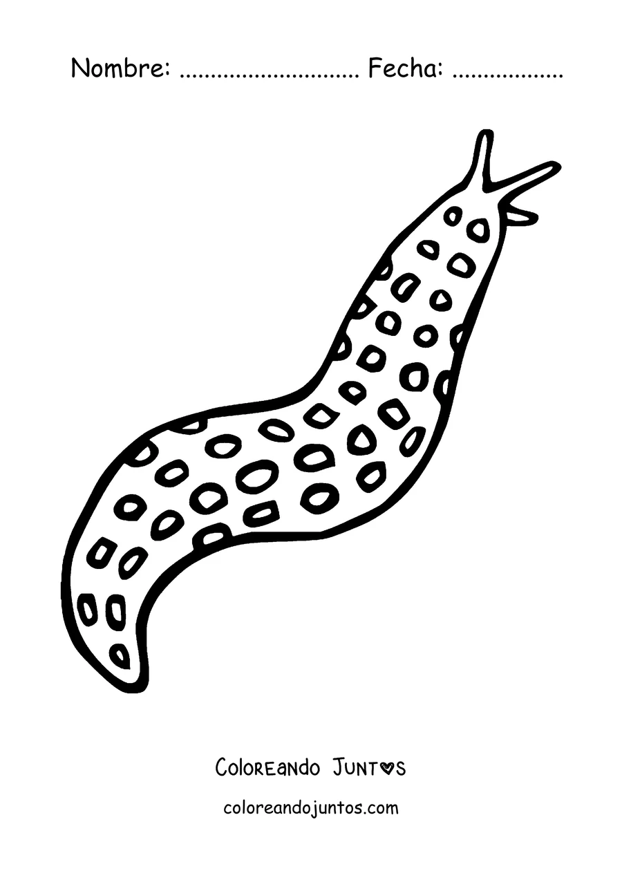 Imagen para colorear de una babosa leopardo llena de lunares