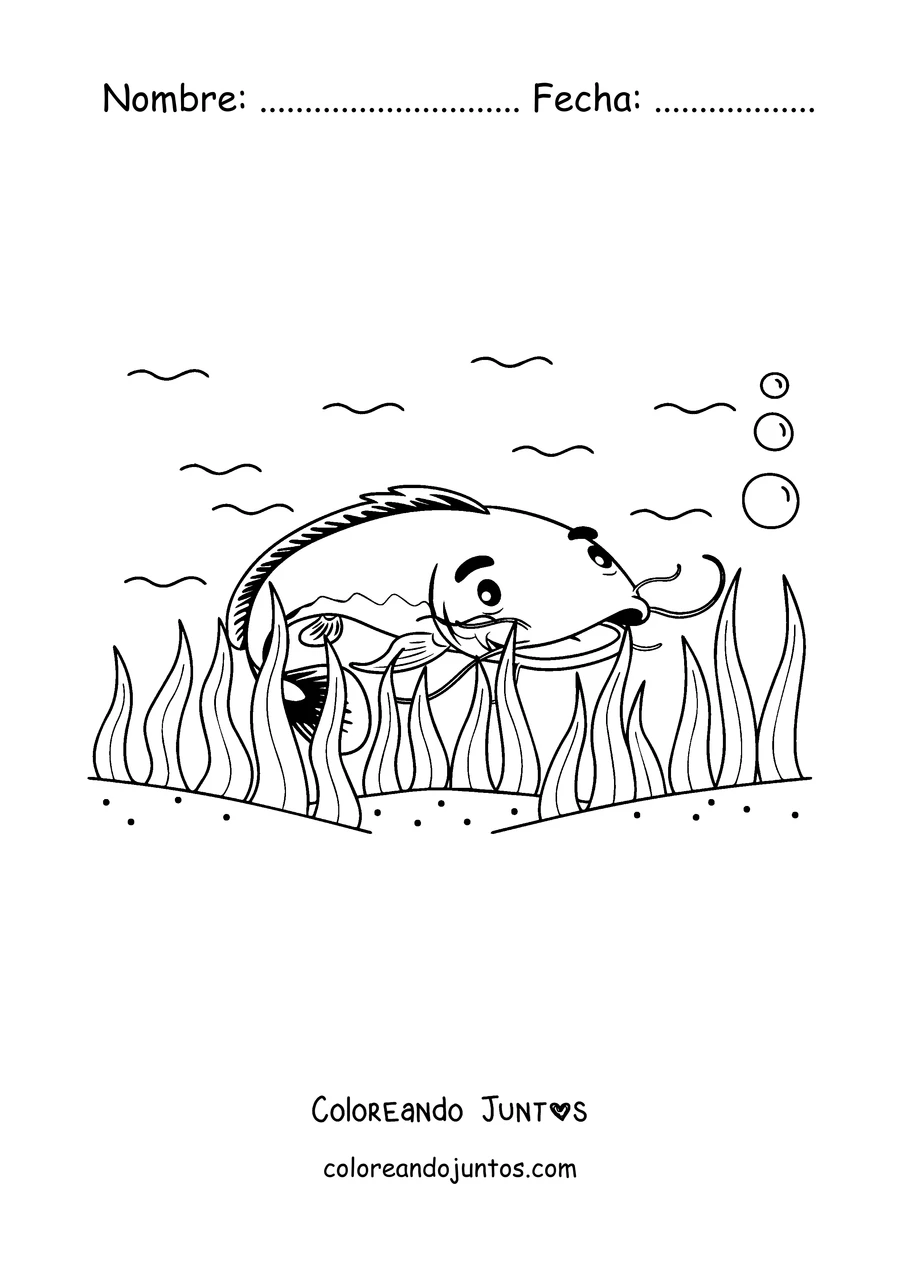 Imagen para colorear de un bagre nadando entre las algas