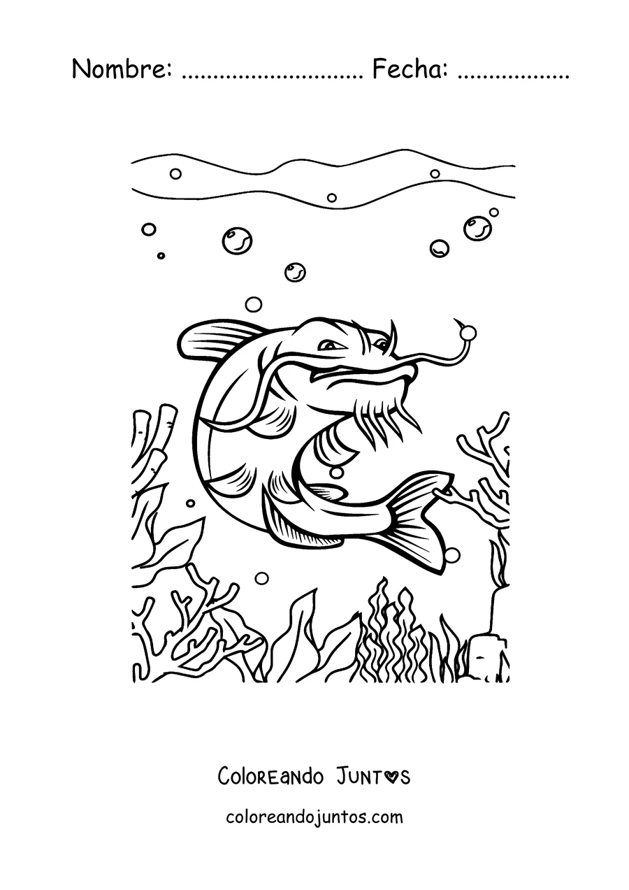 Imagen para colorear de un bagre entre corales del fondo del mar