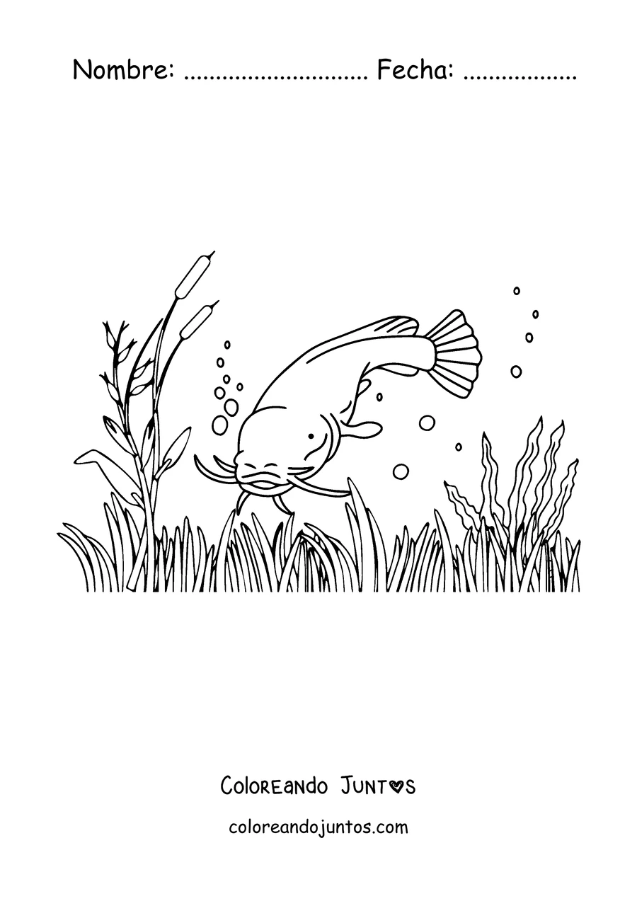 Imagen para colorear de un bagre nadando entre juncos