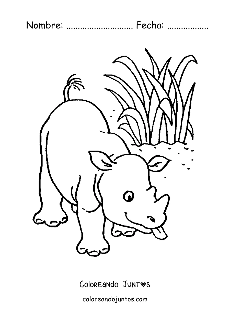 Imagen para colorear de un bebé rinoceronte y su mamá comiendo pasto